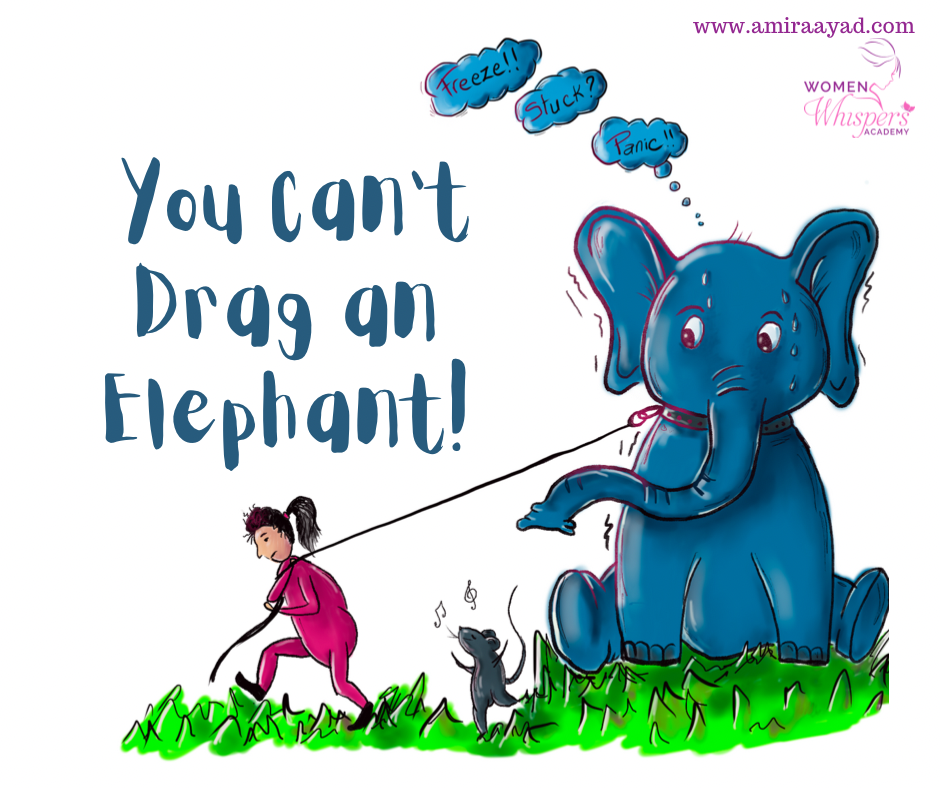 You Can't Drag an Elephant